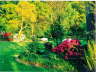 Garten5